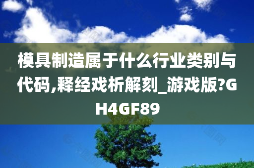 模具制造属于什么行业类别与代码,释经戏析解刻_游戏版?GH4GF89