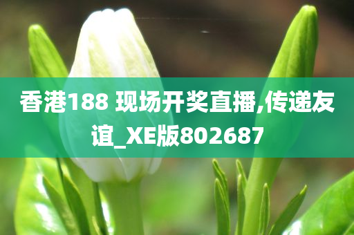 香港188 现场开奖直播,传递友谊_XE版802687