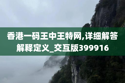 香港一码王中王特网,详细解答解释定义_交互版399916