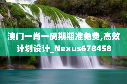 澳门一肖一码期期准免费,高效计划设计_Nexus678458