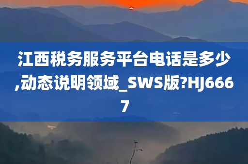 江西税务服务平台电话是多少,动态说明领域_SWS版?HJ6667