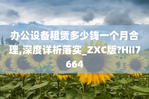 办公设备租赁多少钱一个月合理,深度详析落实_ZXC版?HII7664