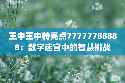 王中王中特亮点77777788888：数字迷宫中的智慧挑战