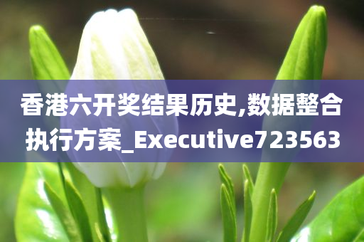 香港六开奖结果历史,数据整合执行方案_Executive723563