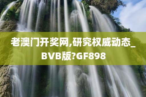 老澳门开奖网,研究权威动态_BVB版?GF898