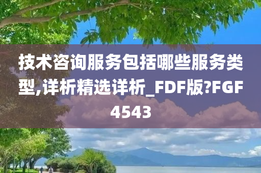 技术咨询服务包括哪些服务类型,详析精选详析_FDF版?FGF4543