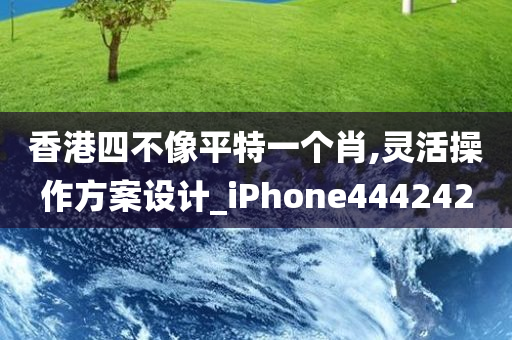 香港四不像平特一个肖,灵活操作方案设计_iPhone444242