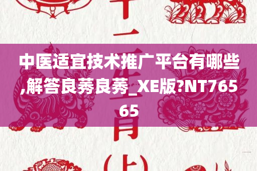 中医适宜技术推广平台有哪些,解答良莠良莠_XE版?NT76565