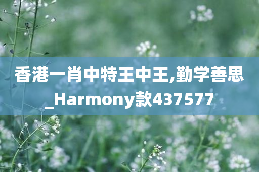 香港一肖中特王中王,勤学善思_Harmony款437577