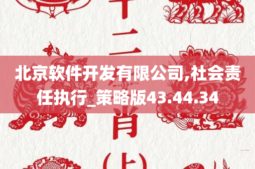 北京软件开发有限公司,社会责任执行_策略版43.44.34