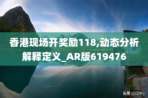 香港现场开奖励118,动态分析解释定义_AR版619476