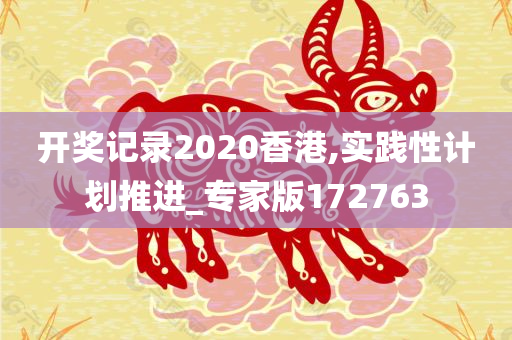 开奖记录2020香港,实践性计划推进_专家版172763