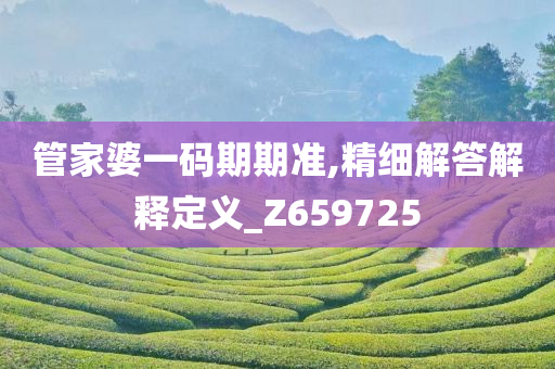 管家婆一码期期准,精细解答解释定义_Z659725