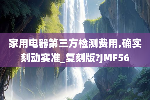 家用电器第三方检测费用,确实刻动实准_复刻版?JMF56