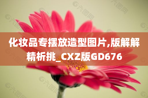 化妆品专摆放造型图片,版解解精析挑_CXZ版GD676