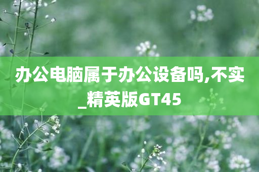 办公电脑属于办公设备吗,不实_精英版GT45