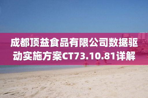 成都顶益食品有限公司数据驱动实施方案CT73.10.81详解