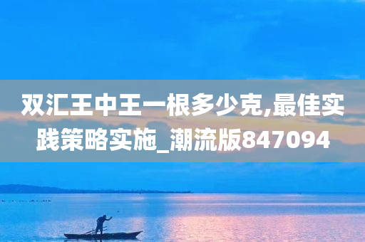 双汇王中王一根多少克,最佳实践策略实施_潮流版847094