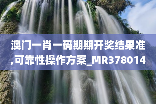 澳门一肖一码期期开奖结果准,可靠性操作方案_MR378014