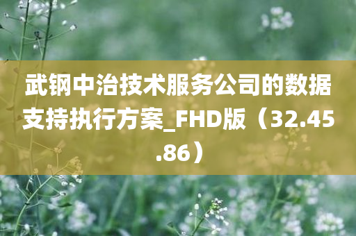 武钢中治技术服务公司的数据支持执行方案_FHD版（32.45.86）