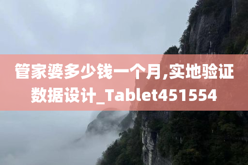 管家婆多少钱一个月,实地验证数据设计_Tablet451554