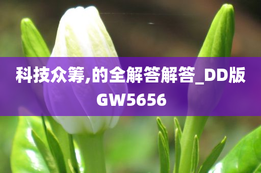 科技众筹,的全解答解答_DD版GW5656