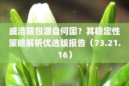 威浩箱包源自何国？其稳定性策略解析优选版报告（73.21.16）