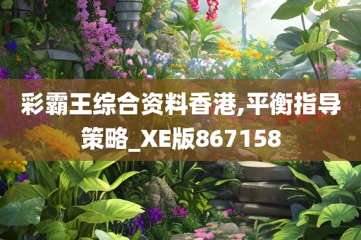 彩霸王综合资料香港,平衡指导策略_XE版867158