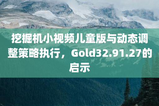 挖掘机小视频儿童版与动态调整策略执行，Gold32.91.27的启示