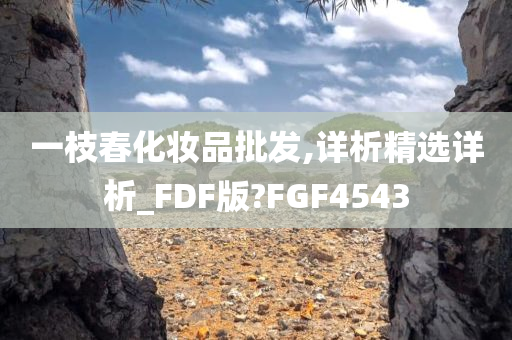 一枝春化妆品批发,详析精选详析_FDF版?FGF4543