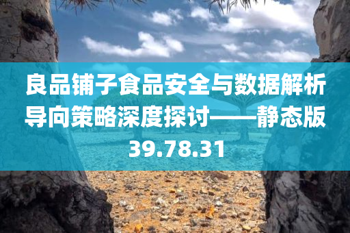 良品铺子食品安全与数据解析导向策略深度探讨——静态版39.78.31