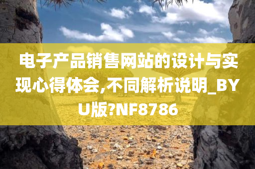 电子产品销售网站的设计与实现心得体会,不同解析说明_BYU版?NF8786