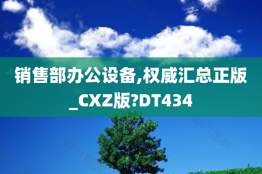 销售部办公设备,权威汇总正版_CXZ版?DT434