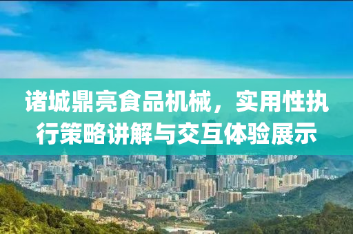 诸城鼎亮食品机械，实用性执行策略讲解与交互体验展示