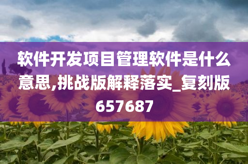 软件开发项目管理软件是什么意思,挑战版解释落实_复刻版657687