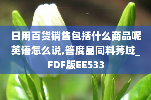 日用百货销售包括什么商品呢英语怎么说,答度品同料莠域_FDF版EE533