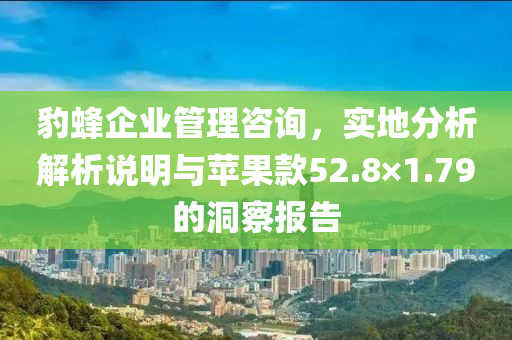 豹蜂企业管理咨询，实地分析解析说明与苹果款52.8×1.79的洞察报告