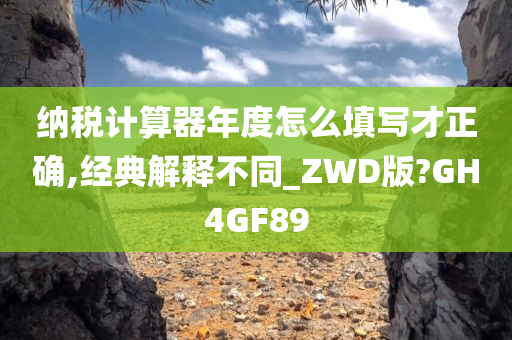 纳税计算器年度怎么填写才正确,经典解释不同_ZWD版?GH4GF89