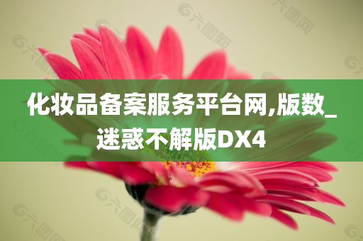 化妆品备案服务平台网,版数_迷惑不解版DX4