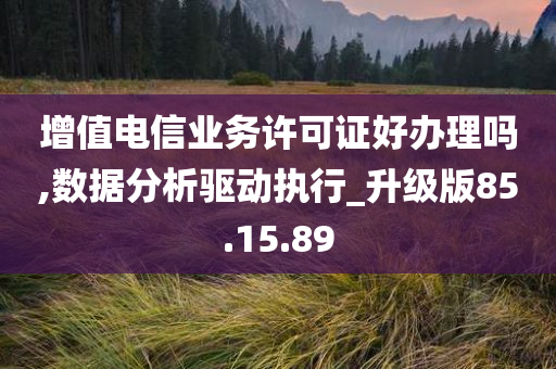 增值电信业务许可证好办理吗,数据分析驱动执行_升级版85.15.89