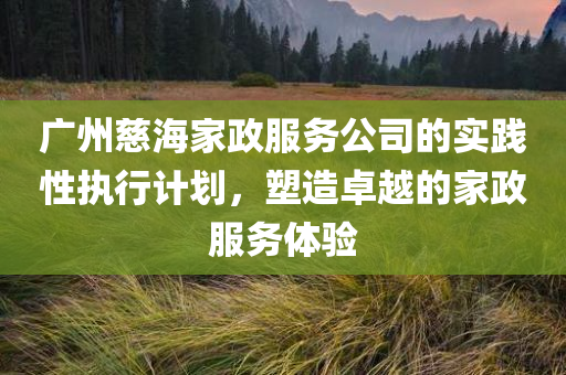 广州慈海家政服务公司的实践性执行计划，塑造卓越的家政服务体验