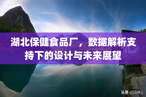 湖北保健食品厂，数据解析支持下的设计与未来展望