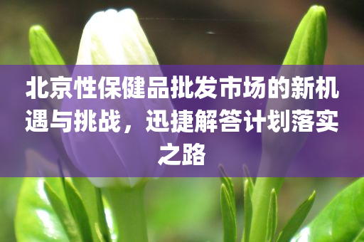 北京性保健品批发市场的新机遇与挑战，迅捷解答计划落实之路