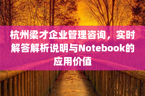 杭州梁才企业管理咨询，实时解答解析说明与Notebook的应用价值