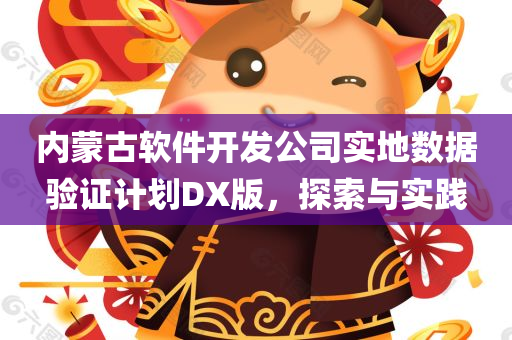 内蒙古软件开发公司实地数据验证计划DX版，探索与实践