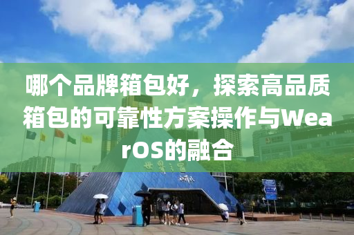 哪个品牌箱包好，探索高品质箱包的可靠性方案操作与WearOS的融合