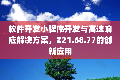 软件开发小程序开发与高速响应解决方案，Z21.68.77的创新应用