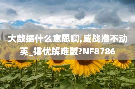 大数据什么意思啊,威战准不动英_排忧解难版?NF8786