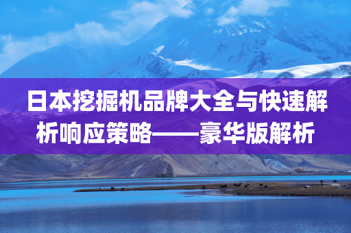 日本挖掘机品牌大全与快速解析响应策略——豪华版解析