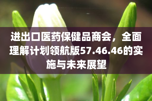 进出口医药保健品商会，全面理解计划领航版57.46.46的实施与未来展望